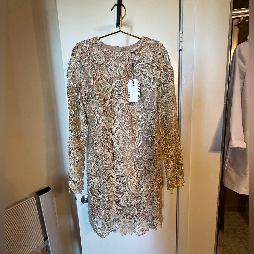 Dress the Population Lace Cocktail Dress